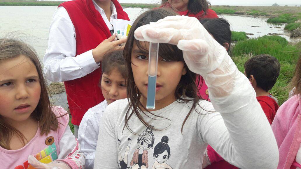 YaliTech celebra el día mundial de los Humedales con actividades y mediciones científicas en terreno