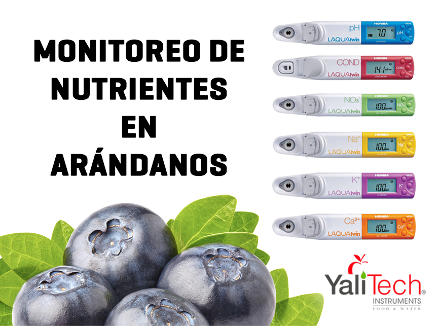 MONITOREO DE NUTRIENTES EN ARÁNDANOS