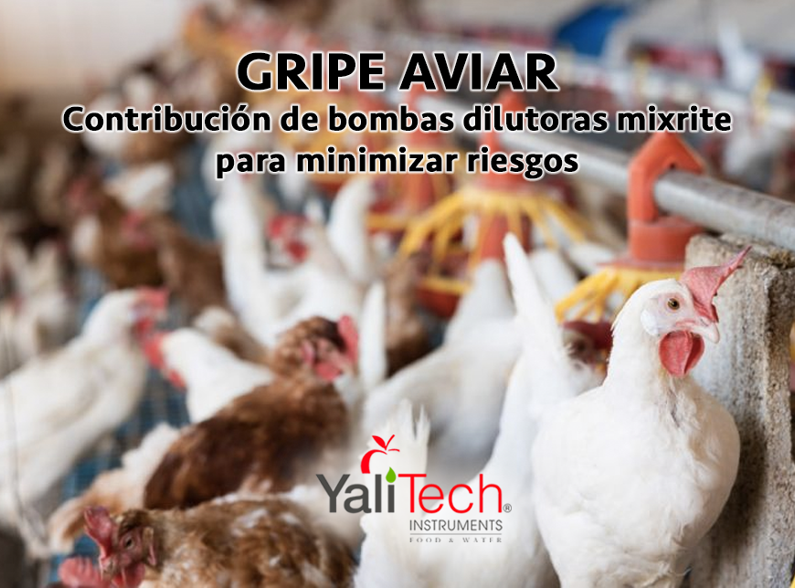 GRIPE AVIAR: CONTRIBUCIÓN DE BOMBAS DILUTORAS MIXRITE PARA MINIMIZAR RIESGOS