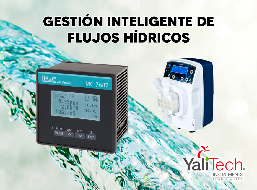 GESTIÓN INTELIGENTE DE FLUJOS HÍDRICOS