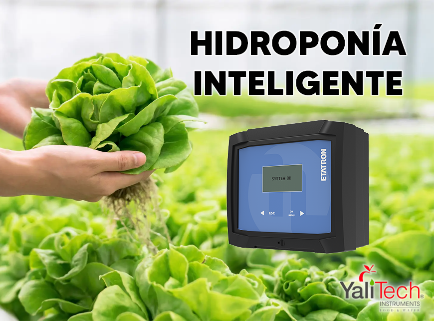 HIDROPONÍA INTELIGENTE