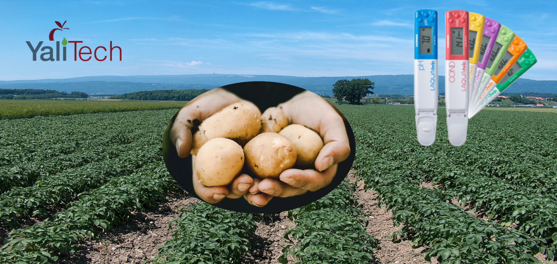 LAQUAtwin: monitoreo de la nutrición y fertilización del cultivo de papa para optimizar su rentabilidad