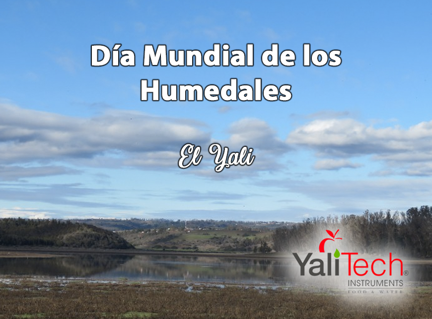 DÍA MUNDIAL DE LOS HUMEDALES