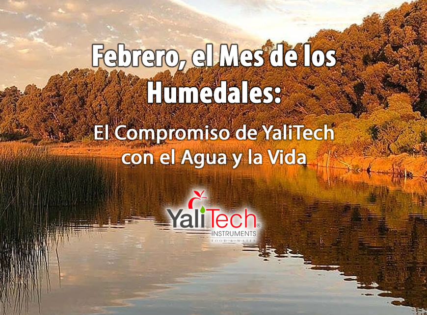 FEBRERO, EL MES DE LOS HUMEDALES: EL COMPROMISO DE YALITECH CON EL AGUA Y LA VIDA