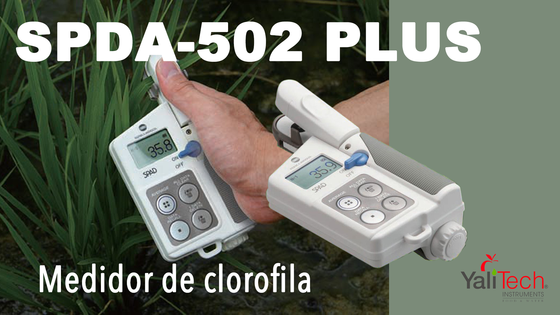 MIDA EL CONTENIDO DE CLOROFILA EN PLANTAS Y AUMENTE EL RENDIMIENTO DE SUS CULTIVOS