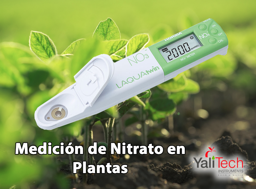 MEDICIÓN DE NITRATO EN PLANTAS