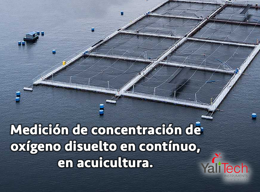 MEDICIÓN DE CONCENTRACIÓN DE OXÍGENO DISUELTO EN CONTINUO, EN ACUICULTURA.