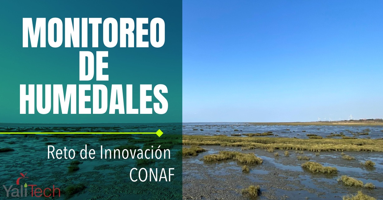 YALITECH ES PARTE DE PROYECTO PARA MANITOREAR HUMEDALES