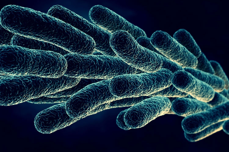 ¡Se Acaba el Tiempo en la Cultura de Laboratorio!