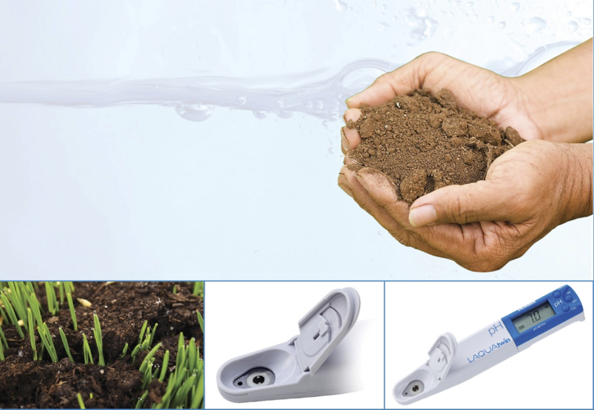 pH del suelo y disponibilidad de nutrientes